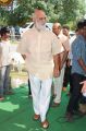 K.Raghavendra Rao @ Krishnamma Kalipindi Iddarinee Movie Opening Stills