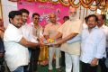 Krishnamma Kalipindi Iddarinee Movie Opening Stills