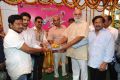 Krishnamma Kalipindi Iddarinee Movie Opening Stills