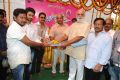 Krishnamma Kalipindi Iddarinee Movie Opening Stills