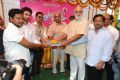 Krishnamma Kalipindi Iddarinee Movie Opening Stills