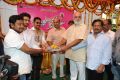 Krishnamma Kalipindi Iddarinee Movie Opening Stills