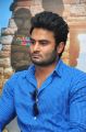 Actor Sudheer Babu @ Krishnamma Kalipindi Iddarini Movie Success Meet Stills