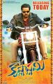 Sunil's Krishnashtami Movie Release Posters