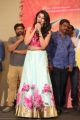 Nikki Galrani @ Krishnashtami Platinum Disc Function Photos