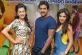 Nikki Galrani, Sunil, Dimple Chopade @ Krishnashtami Movie Success Meet Stills