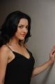 Kristina Akheeva Hot Stills @ Galipatam Firstlook Launch