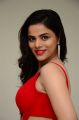 Actress Krithi Garg Photos @ 2 Hours Love Movie Trailer Launch