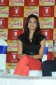 Actress Kriti Kharbanda Latest Stills at Ongole Gitta Movie Press Meet