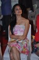 Kriti Kharbanda Hot Photos Stills Gallery