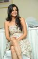 Telugu Actress Kriti Kharbanda Latest Hot Stills