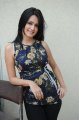 Kriti Kharbanda Photo Shoot Pics