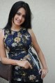 Kriti Kharbanda Photo Shoot Pics