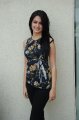 Kriti Kharbanda Photo Shoot Pics