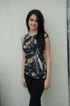 Kriti Kharbanda Photo Shoot Pics