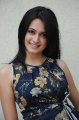 Kriti Kharbanda Photo Shoot Pics