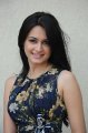 Kriti Kharbanda Photo Shoot Pics