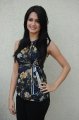 Kriti Kharbanda Photo Shoot Pics