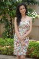 Kriti Kharbanda in Mr.Nookayya Success Meet