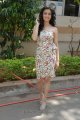 Kriti Kharbanda New Photos