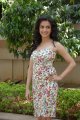 Kriti Kharbanda New Photos