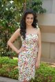 Cute Kriti Kharbanda New Stills