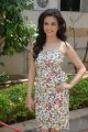 Kriti Kharbanda in Mr.Nookayya Success Meet