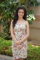 Kriti Kharbanda New Photos