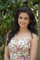 Kriti Kharbanda in Mr.Nookayya Success Meet