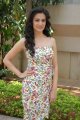 Kriti Kharbanda New Photos