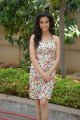 Kriti Kharbanda New Photos