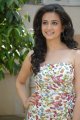 Cute Kriti Kharbanda New Stills