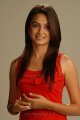 Kriti Kharbanda Cute Photo Shoot Pics