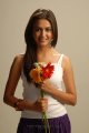 Kriti Kharbanda Cute Photo Shoot Pics