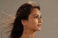 Kriti Kharbanda Cute Photo Shoot Pics