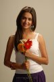 Kriti Kharbanda Cute Photo Shoot Pics