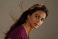 Kriti Kharbanda Cute Photo Shoot Pics