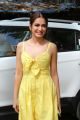 Actress Kriti Kharbanda Recent Photos