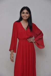 Actress Kritika Shetty Stills @ 7 Days 6 Nights Movie Success Meet