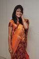 Telugu Model Krupali in Silk Saree Photos
