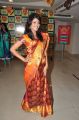 Telugu Model Krupali in Silk Saree Photos