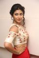 Telugu Actress Kruthika Photos @ Intlo Deyyam Nakem Bhayam Trailer Launch