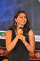 Actress Kruthika Jayakumar Photos @ Vinavayya Ramayya Audio Release