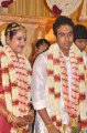 KS Ravikumar daughter Janani Sathishkumar Wedding Stills
