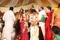 P.Vasu at KS Ravikumar Daughter Marriage Photos