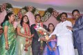 S. Thirunavukkarasu at KS Ravikumar Daughter Wedding Reception Stills