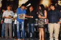 Kulu Manali Music Launch Pictures