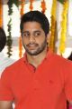 Naga Chaitanya @ Kumari 21F Movie Opening Stills