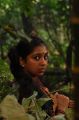 Actress Lakshmi Menon in Kumki Movie Latest Photos