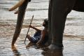 Actor Vikram Prabhu in Kumki Latest Photos